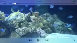 aquarium videos 3d iphone resimleri 1