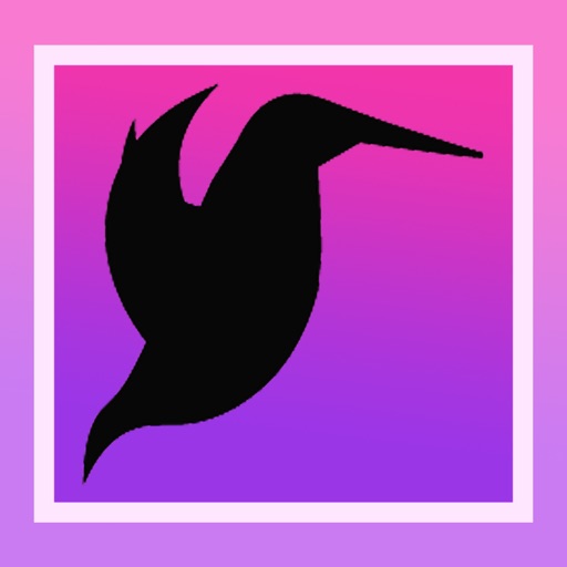 Hummingbird Identifier app reviews download