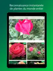 plantsnap pro: identify plants iPad Captures Décran 1