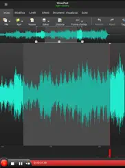 wavepad editor- musica e audio ipad images 2