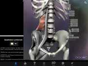 muscle & bone anatomy 3d ipad images 2