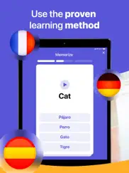 belingual - language learning ipad images 2
