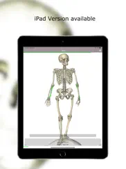 anatomy quiz lite iPad Captures Décran 1