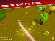 snake road 3d: hit color block ipad images 2