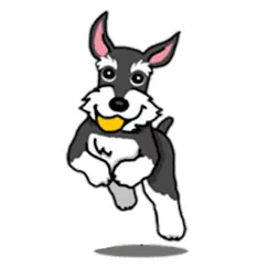 miniature schnauzer dog icon logo, reviews