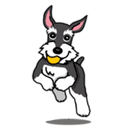 Miniature Schnauzer Dog Icon app reviews download