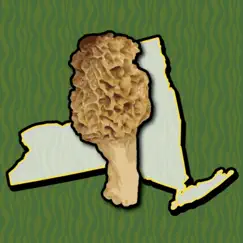 new york mushroom forager map! logo, reviews