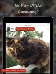 tag a cat - the cat photo app ipad images 3