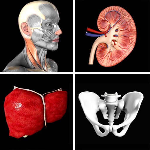 Anatomy Quiz Pro app reviews download