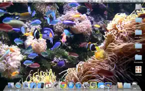 desktop aquarium wallpapers iphone images 2