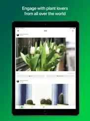 plantsnap pro: identify plants ipad images 1