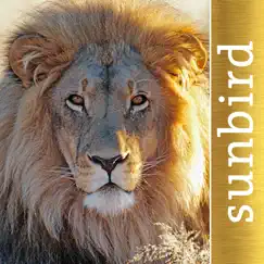 the golden safari guide logo, reviews