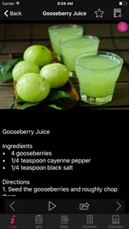 juice recipes encyclopedia iphone images 2