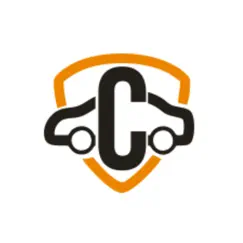 carvisa - proteção automotiva logo, reviews