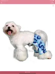 the posh puppy boutique ipad images 4