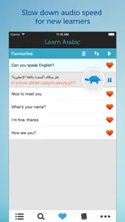 learn arabic travel phrasebook iphone images 3