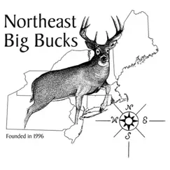 northeast big bucks logo, reviews