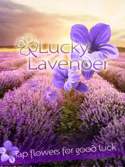 lucky lavender ipad images 1