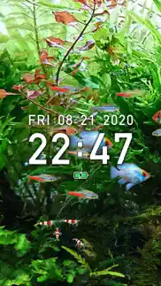 tropical fish tank - mini aqua iphone images 4