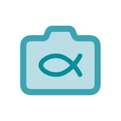 fisheye lens - lomo camera обзор, обзоры