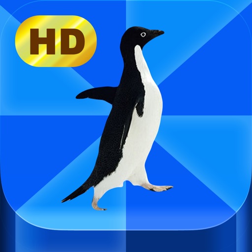 Meme Pics HD app reviews download