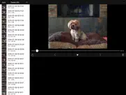 icam pro - webcam streaming ipad resimleri 3