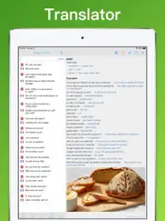 french translator dictionary + ipad images 3