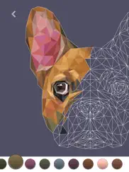 polygo - lowpoly coloring book ipad images 4