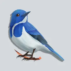 bird life stickers logo, reviews