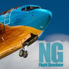 ng flight simulator logo, reviews