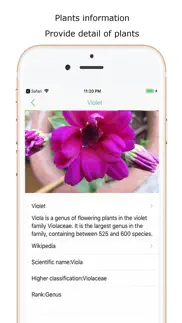 iplant - plant identifier iPhone Captures Décran 2