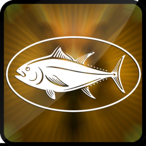3D Bass Fishing Extreme River app reviews download