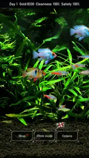 tropical fish tank - mini aqua iphone images 1