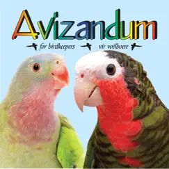 avizandum logo, reviews
