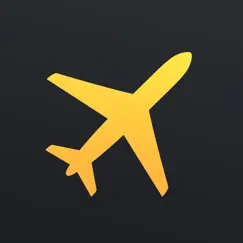 Flight Board Pro Обзор приложения