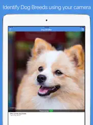 dog id - dog breed identifier ipad images 1