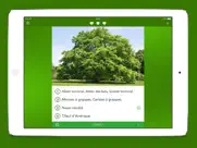arbres 2 pro iPad Captures Décran 4