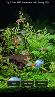 tropical fish tank - mini aqua iphone images 3