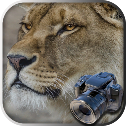 Hidden Object Safari - Animals app reviews download