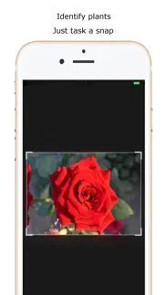 iplant - plant identifier iPhone Captures Décran 1