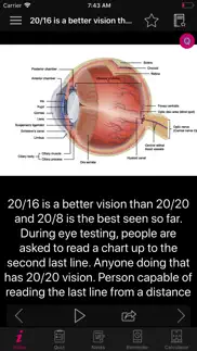 human eye anatomy fact,quiz 2k iphone images 2