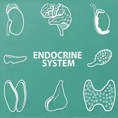 endocrine system quizzes logo, reviews