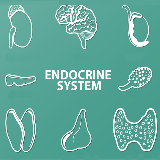 Endocrine System Quizzes app reviews download