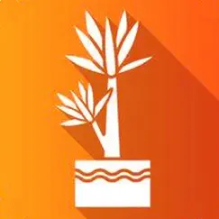 cassava plant disease identify logo, reviews