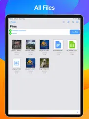 documents, file manager app ipad images 1