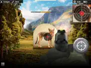 coyote target shooting ipad images 3