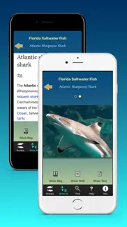 florida saltwater fish iphone capturas de pantalla 4