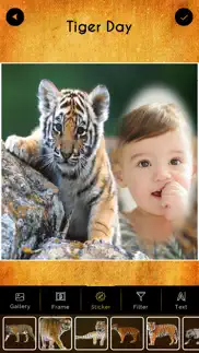 international tiger day frames айфон картинки 1