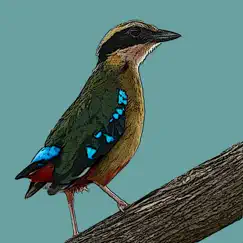 birds of zambia logo, reviews