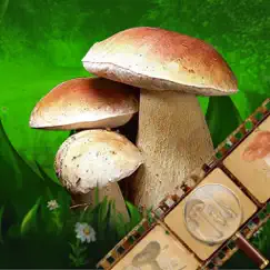 mushroom book & identification logo, reviews